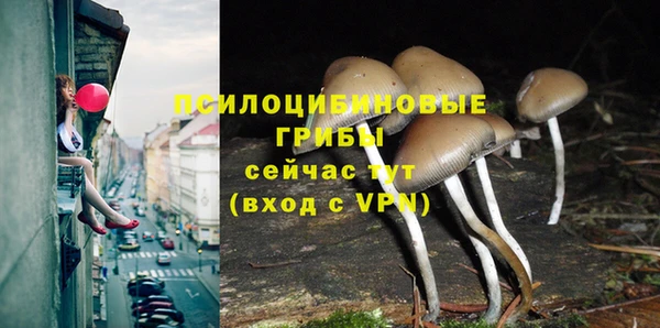 метадон Абаза